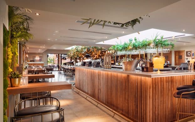 Open-plan Parogon Group restaurant with a long wooden-slatted bar, hanging greenery and dining tables